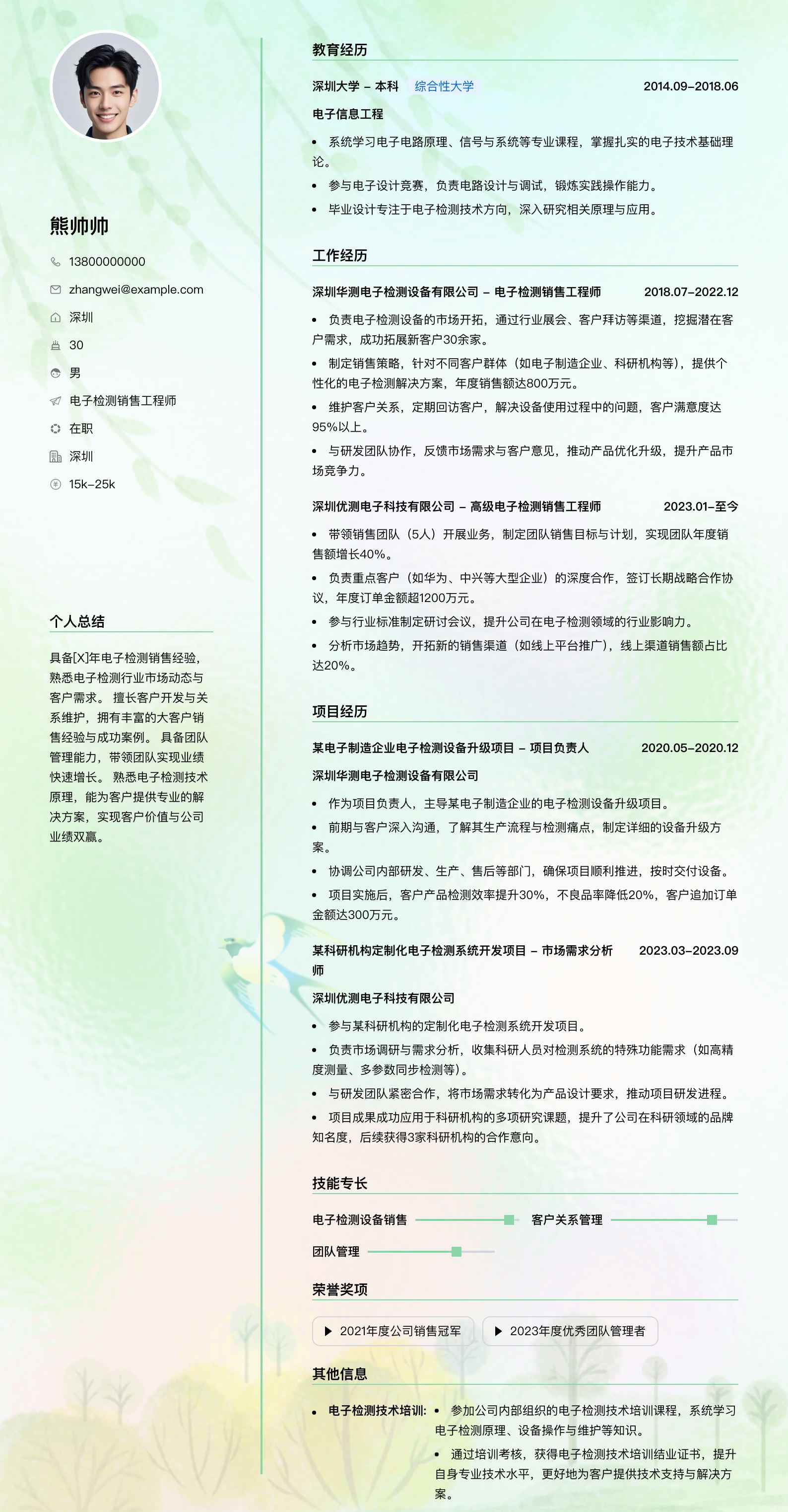 电子检测销售工程师简历模板
