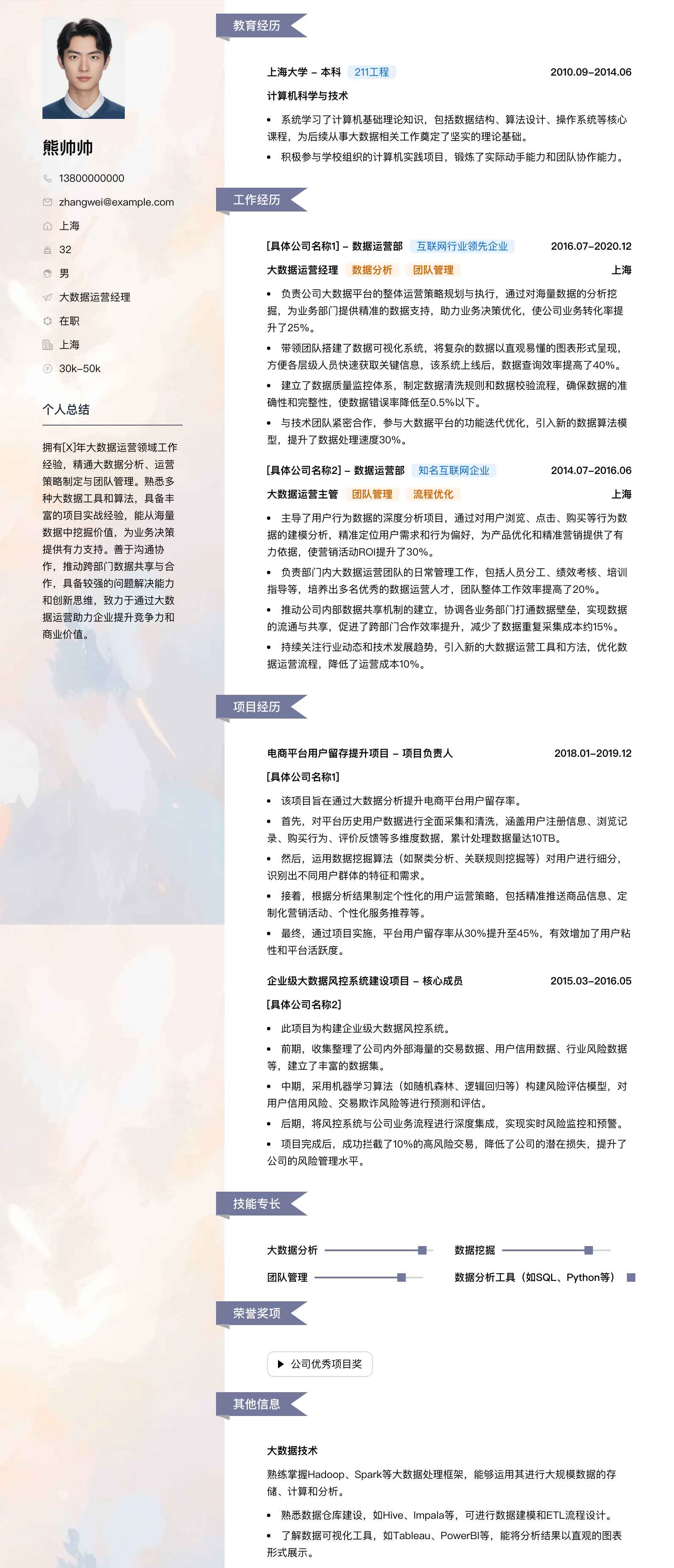 大数据运营经理简历模板