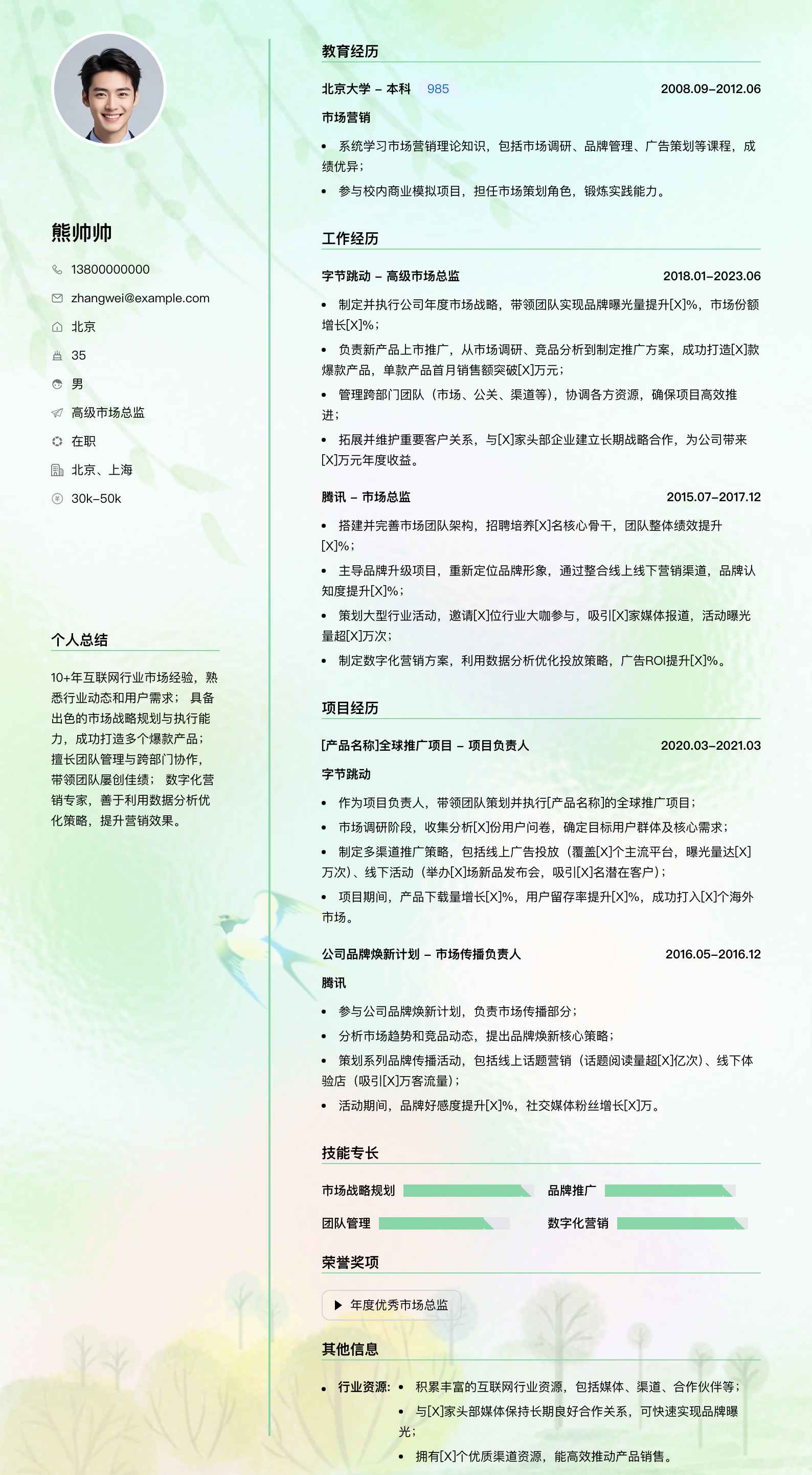 高级市场总监简历模板