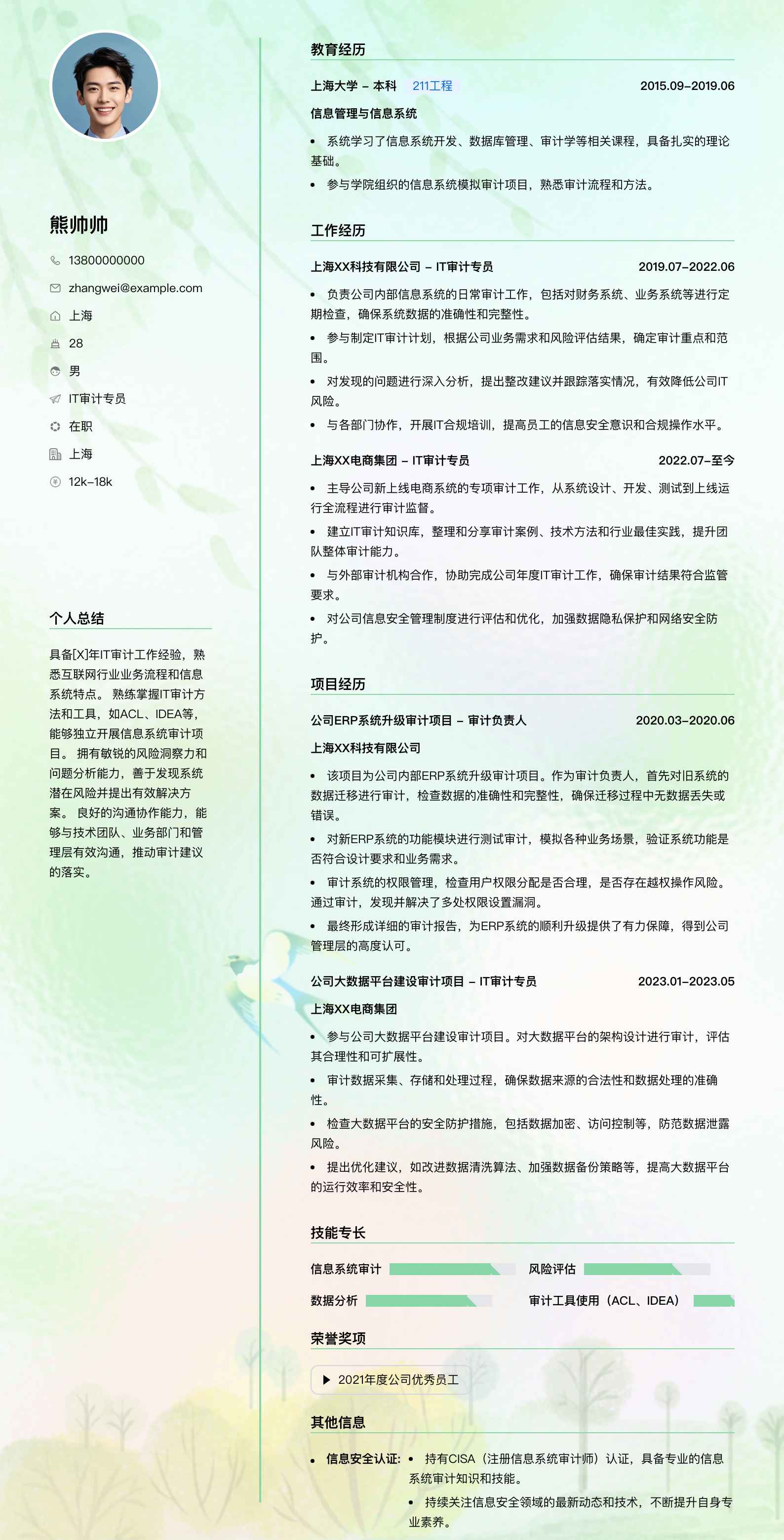 it审计专员简历模板