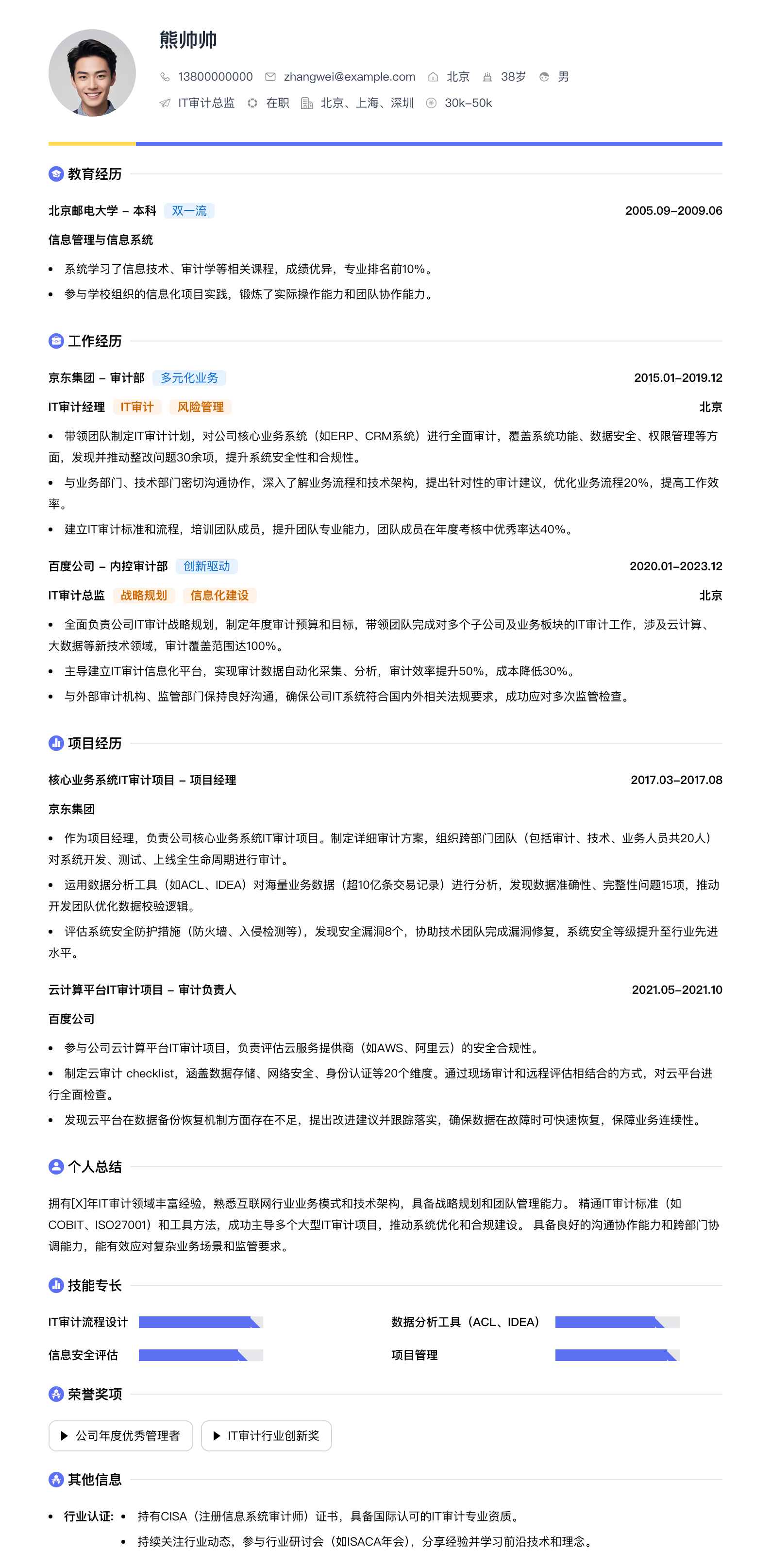 it审计总监简历模板