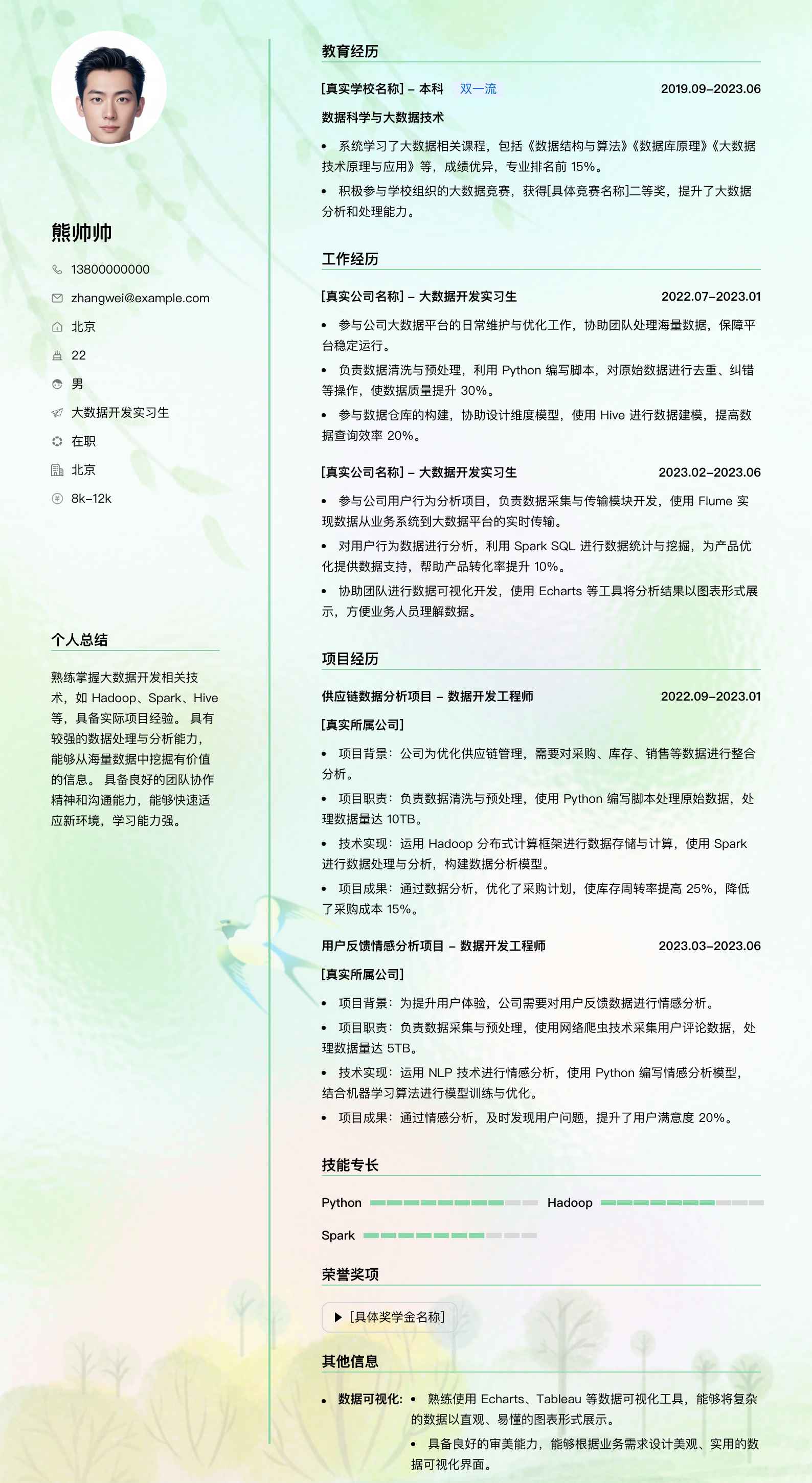 大数据开发实习生简历模板