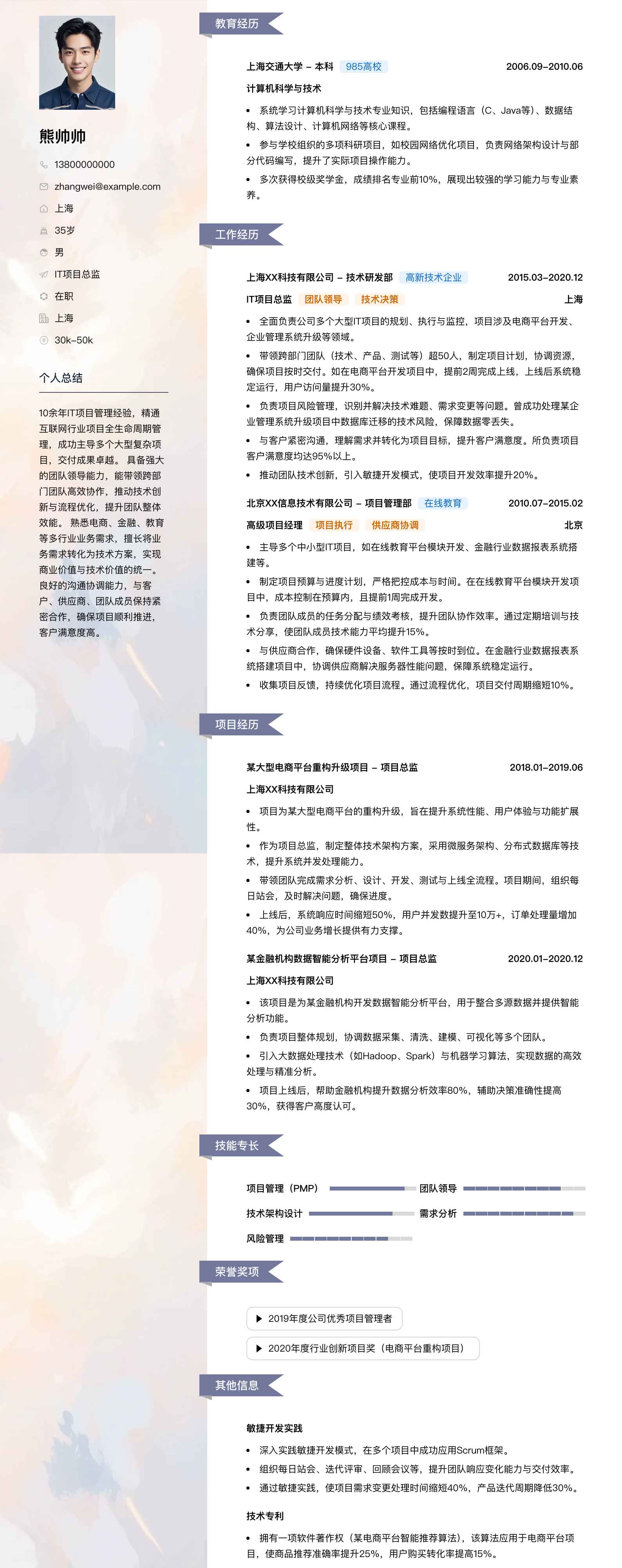 it项目总监简历模板