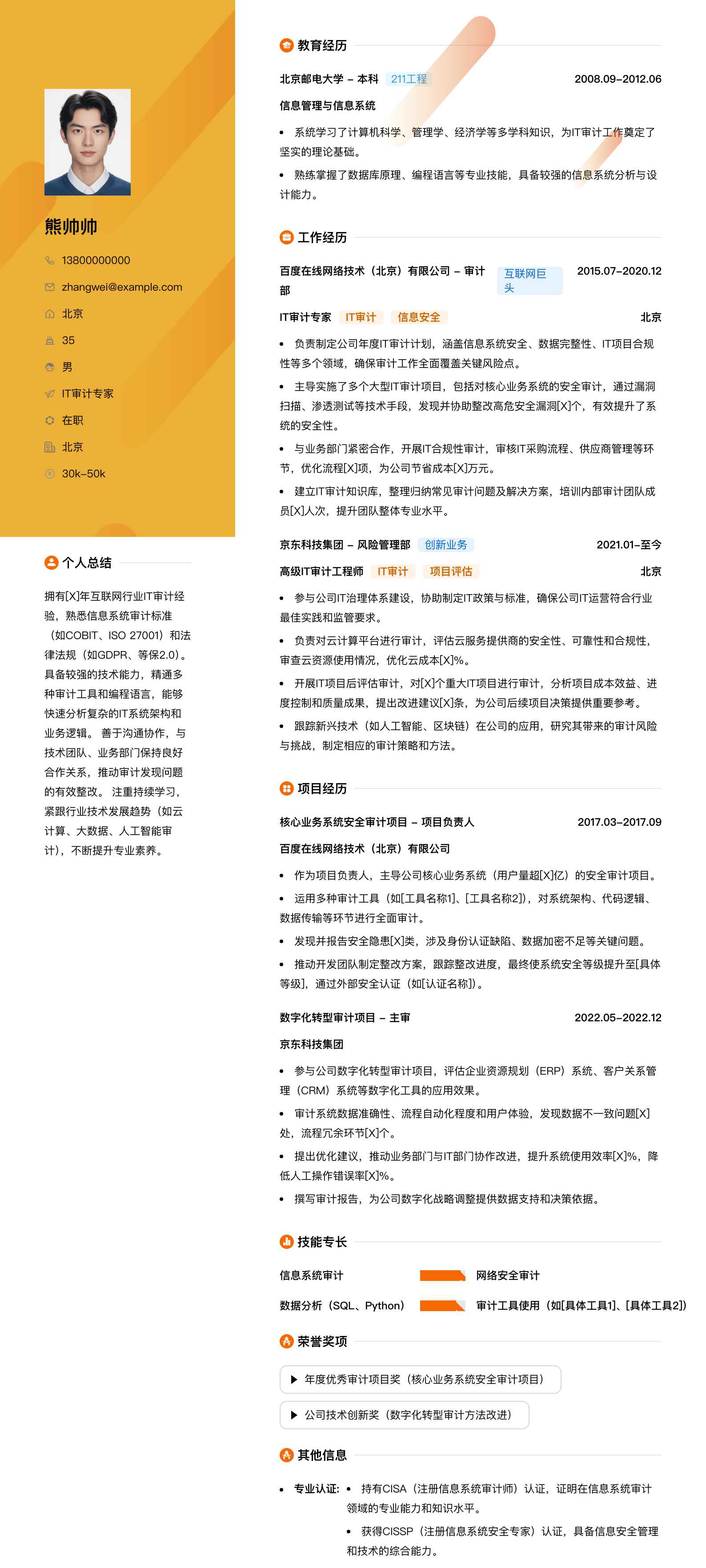 it审计专家简历模板