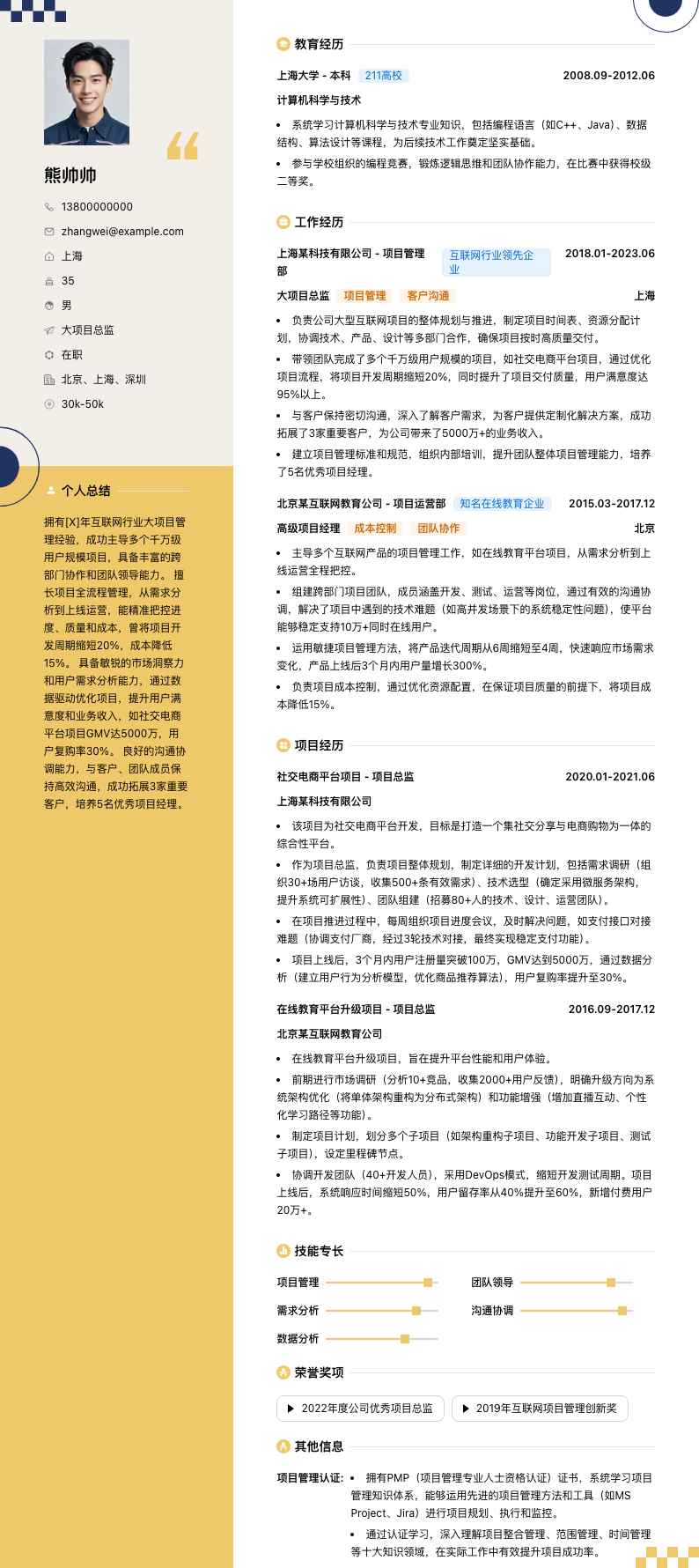 大项目总监简历模板